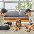 PlanToys - Storytelling Dice - PlanToys - littleyoyo.ca