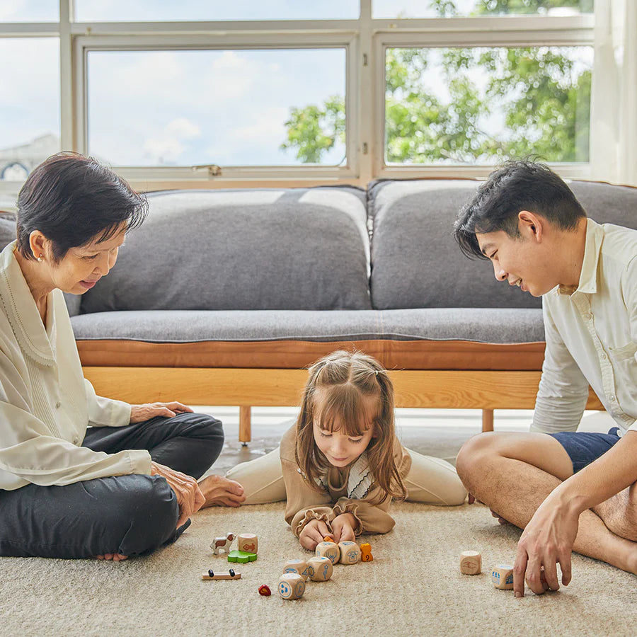 PlanToys - Storytelling Dice - PlanToys - littleyoyo.ca