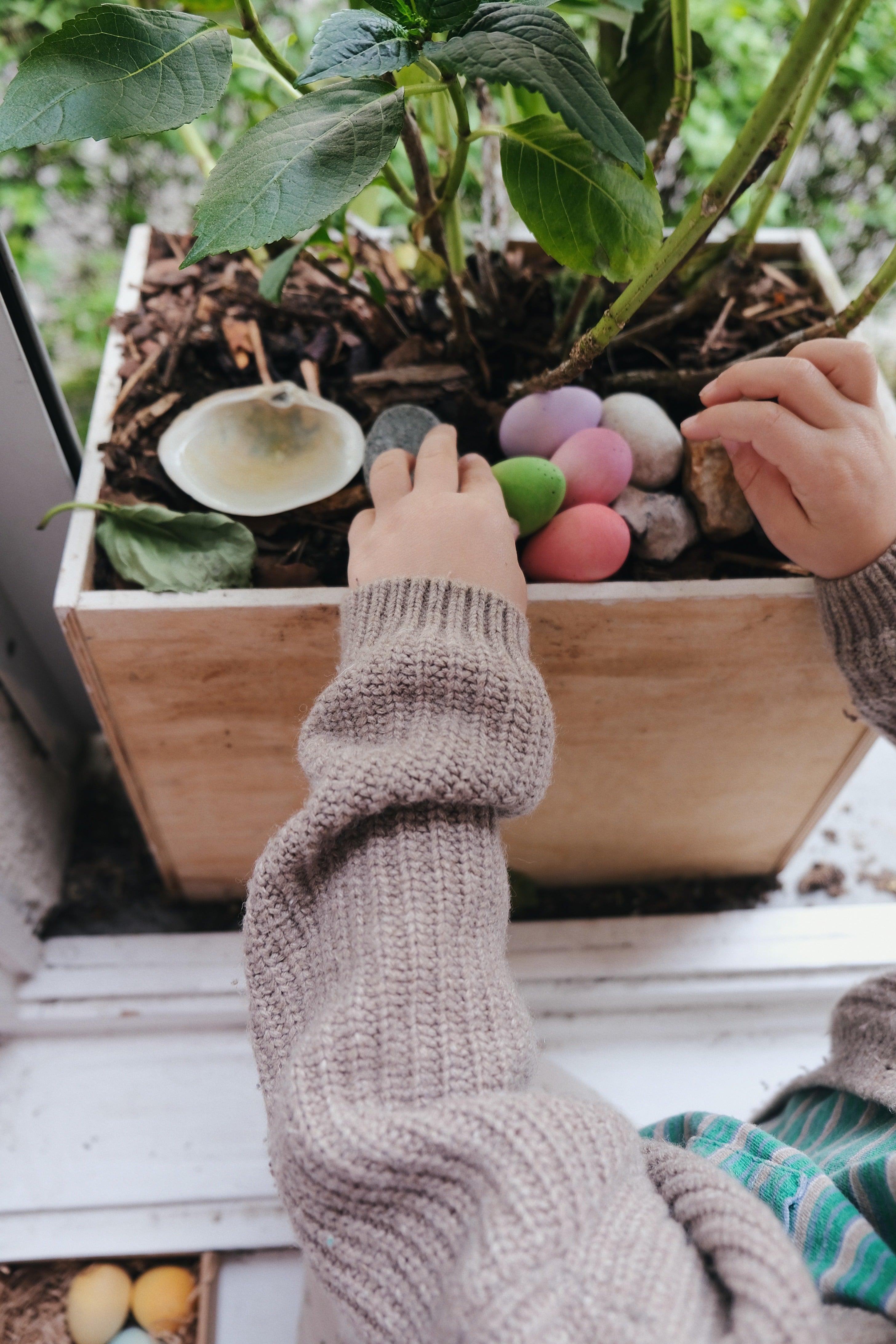 Grapat - Happy Eggs - Grapat - littleyoyo.ca