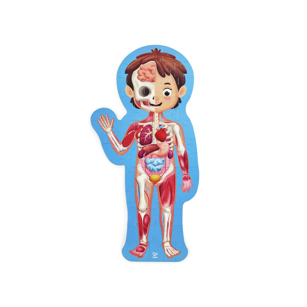 Hape - Human Body Puzzle - Hape - littleyoyo.ca