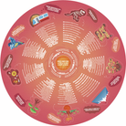 Hape - Underground World Puzzle - Hape - littleyoyo.ca
