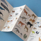 Londji - Animal Planet - Puzzle - Londji - littleyoyo.ca