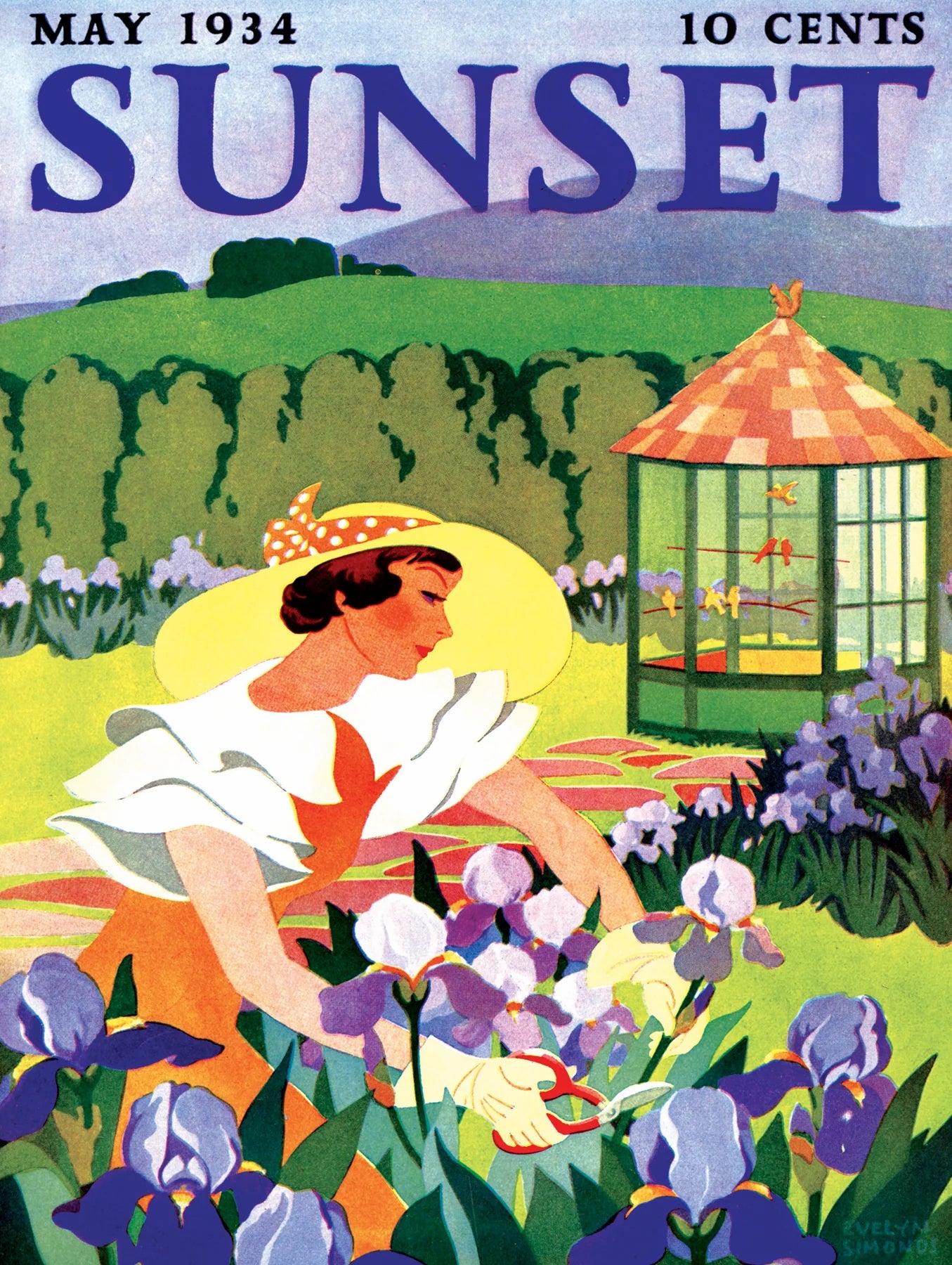 Iris Gardening - 500 Piece Jigsaw Puzzle - New York Puzzle Company - littleyoyo.ca