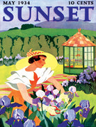 Iris Gardening - 500 Piece Jigsaw Puzzle - New York Puzzle Company - littleyoyo.ca