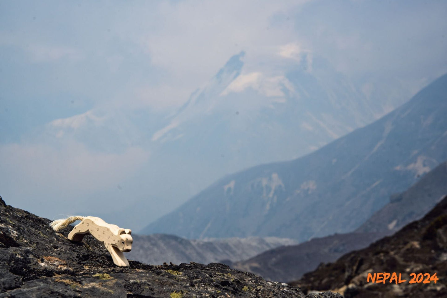 Ostheimer - Snow Leopard