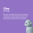 Asobu - Bestie Bottle - Poodle - image 2