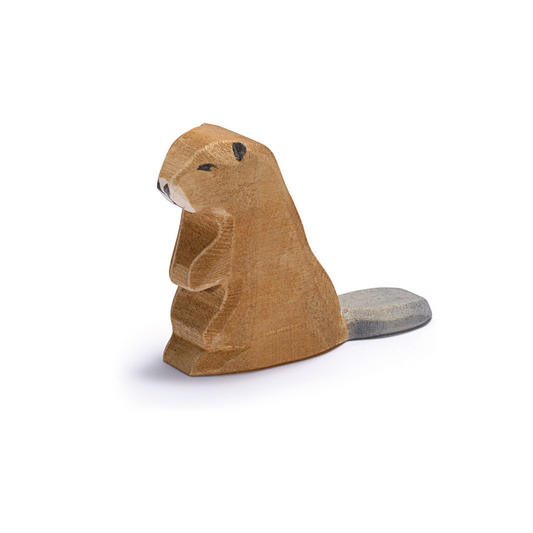 Ostheimer - Beaver Sitting