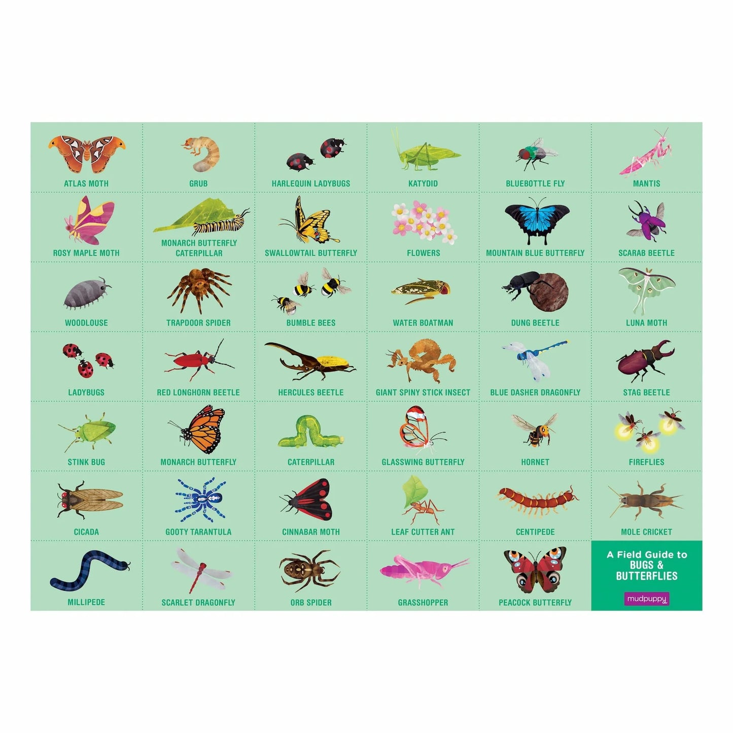 Mudpuppy - Bugs & Butterflies 64 Piece Search & Find Puzzle