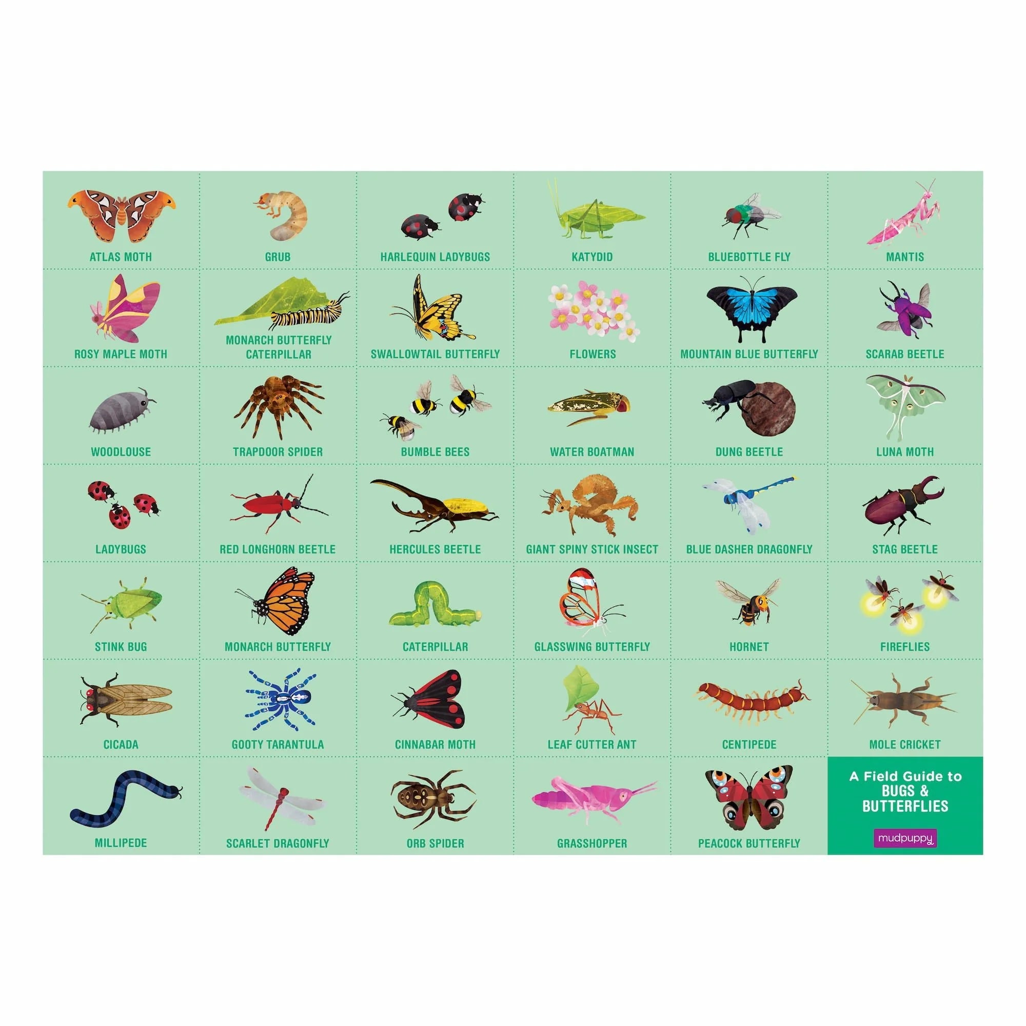 Mudpuppy - Bugs & Butterflies 64 Piece Search & Find Puzzle - Mudpuppy - littleyoyo.ca
