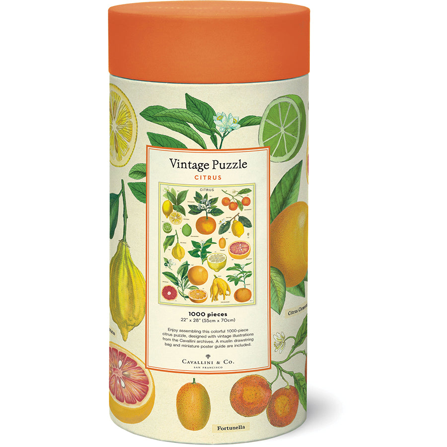 Citrus - 1000 Piece Vintage Puzzle - Cavallini & Co. - littleyoyo.ca