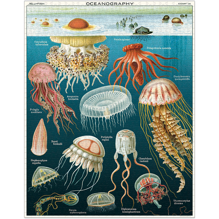 Jelly Fish - 1000 Piece Vintage Puzzle