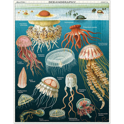 Jelly Fish - 1000 Piece Vintage Puzzle