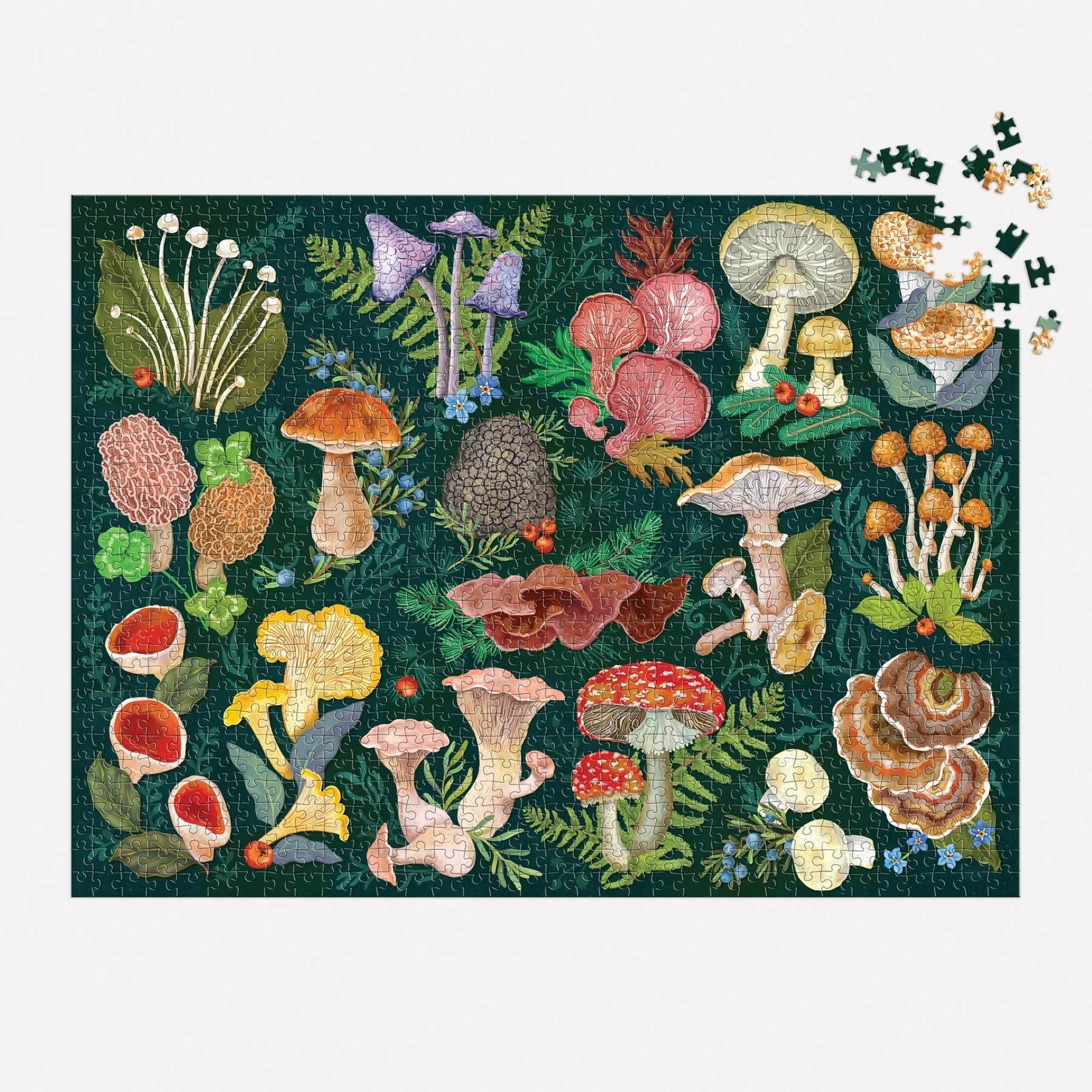 World of Mushrooms - 1000 Piece Jigsaw Puzzle - Galison - littleyoyo.ca