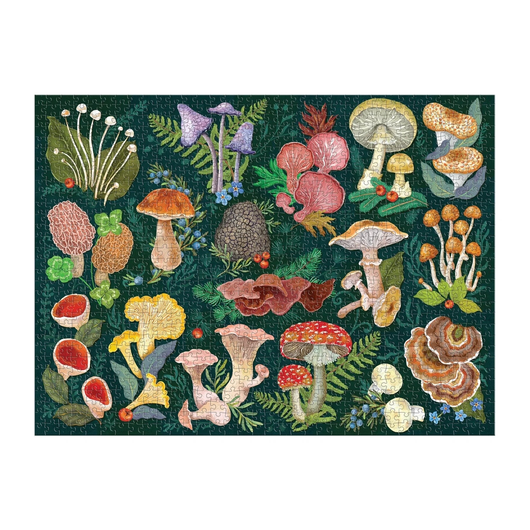 World of Mushrooms - 1000 Piece Jigsaw Puzzle - Galison - littleyoyo.ca