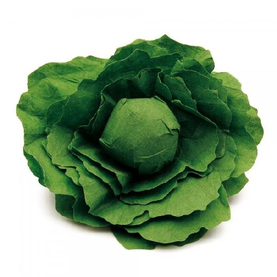 Erzi - Lettuce - Erzi - littleyoyo.ca