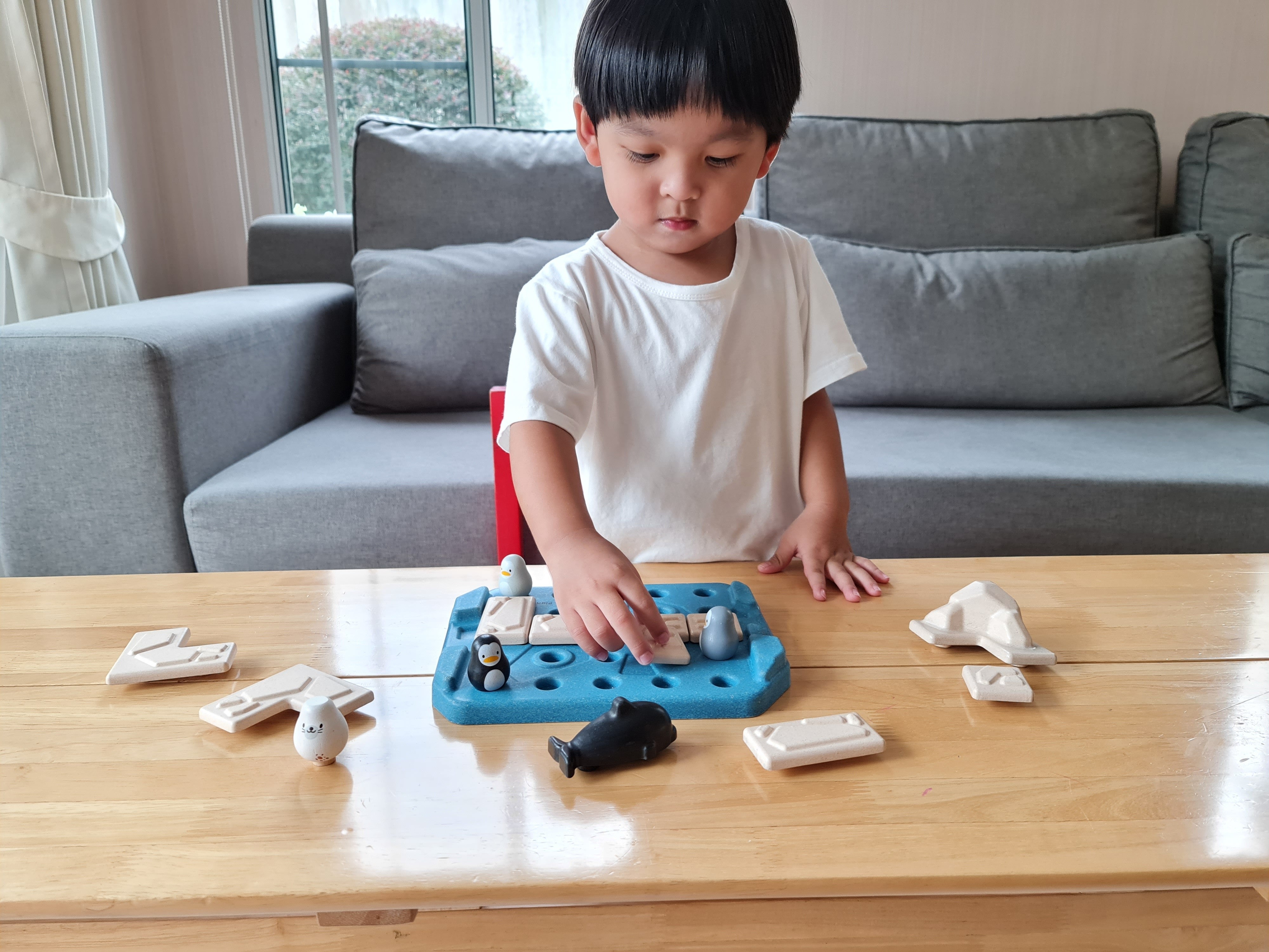 PlanToys - Finding Penguin Game - PlanToys - littleyoyo.ca