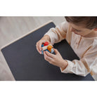 PlanToys - Log Puzzle - PlanMini - PlanToys - littleyoyo.ca