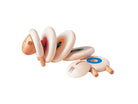 PlanToys - Lacing Sheep - PlanToys - littleyoyo.ca