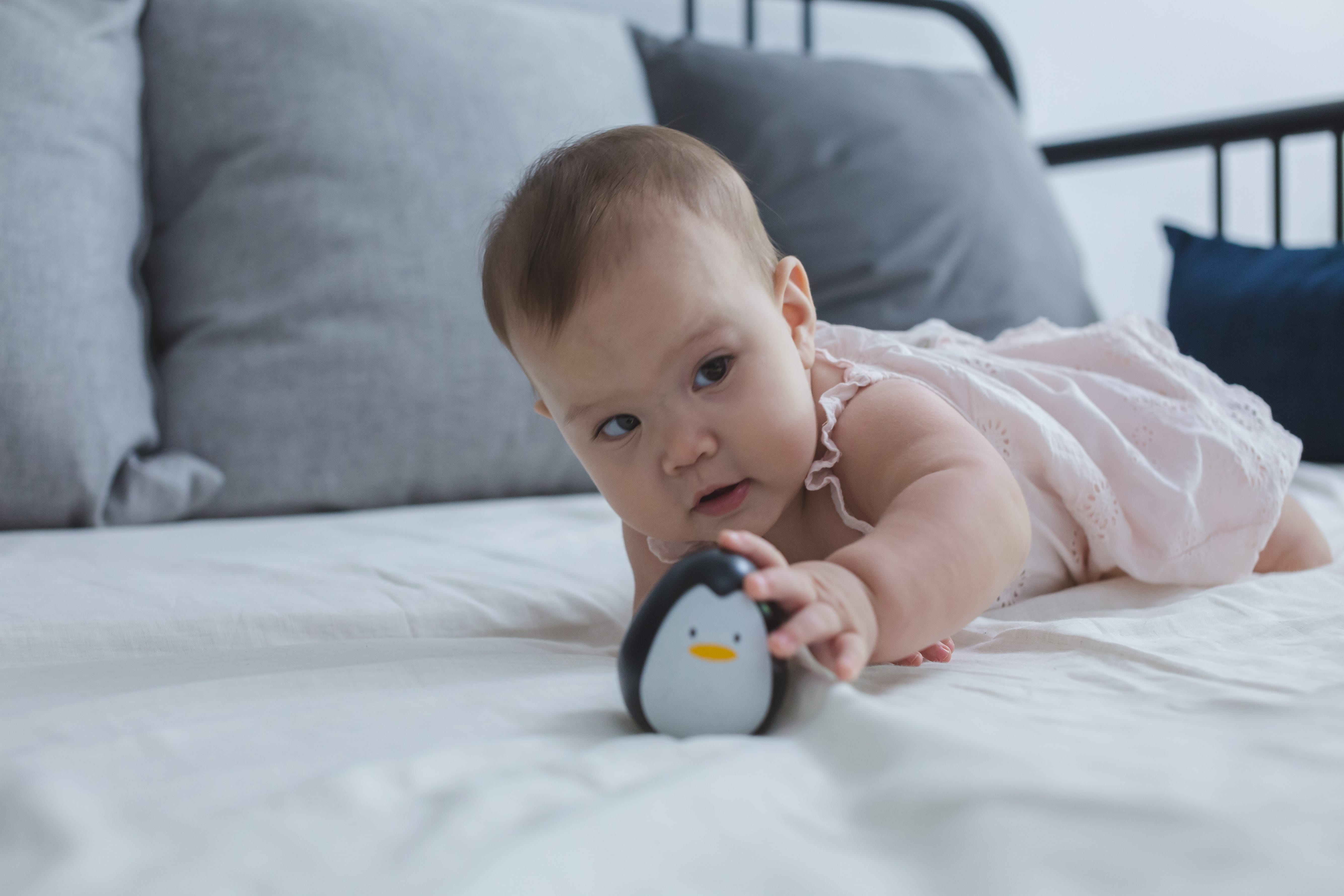 PlanToys - Penguin - PlanToys - littleyoyo.ca