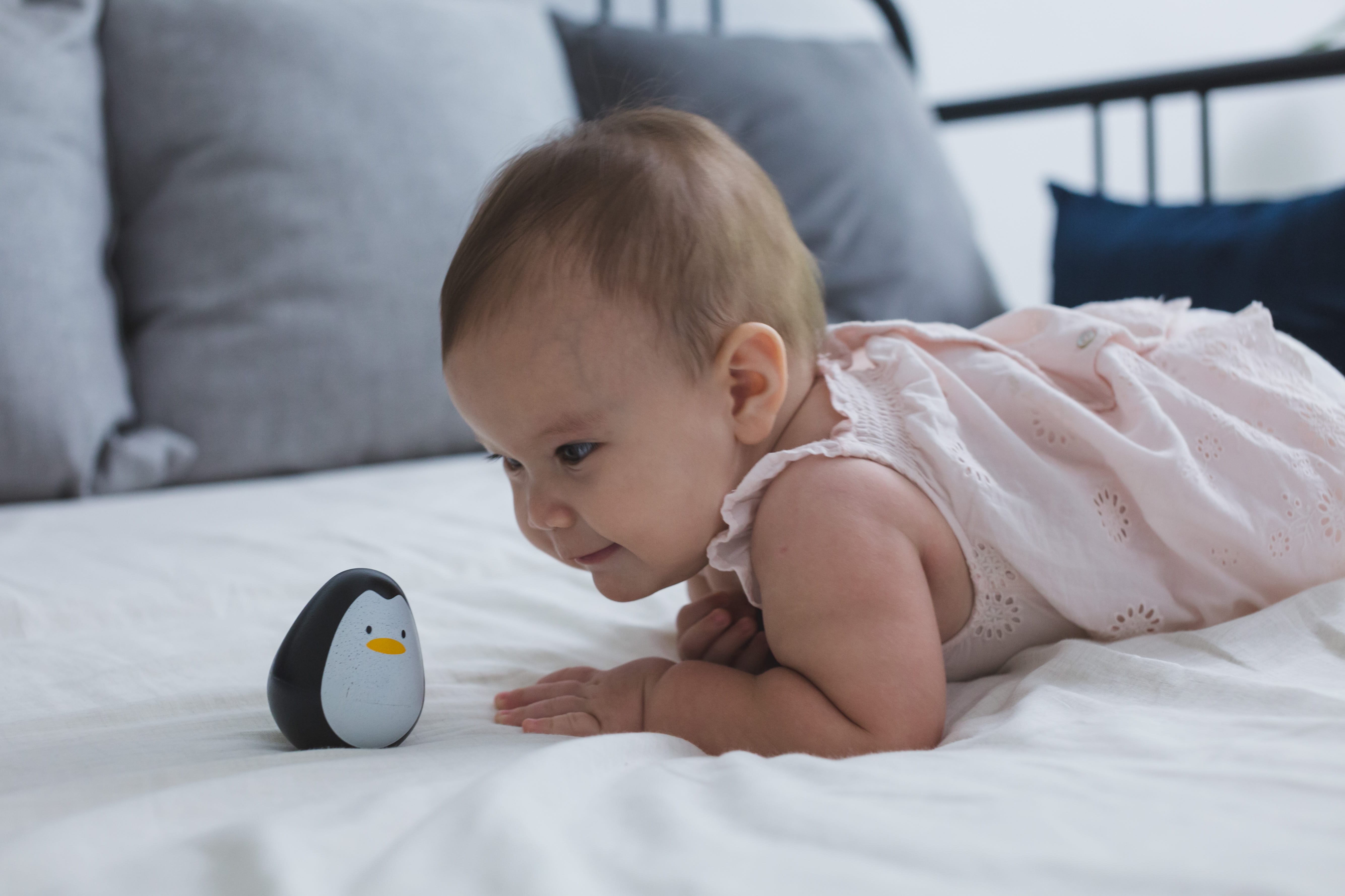 PlanToys - Penguin - PlanToys - littleyoyo.ca