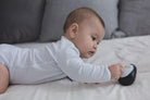 PlanToys - Penguin - PlanToys - littleyoyo.ca