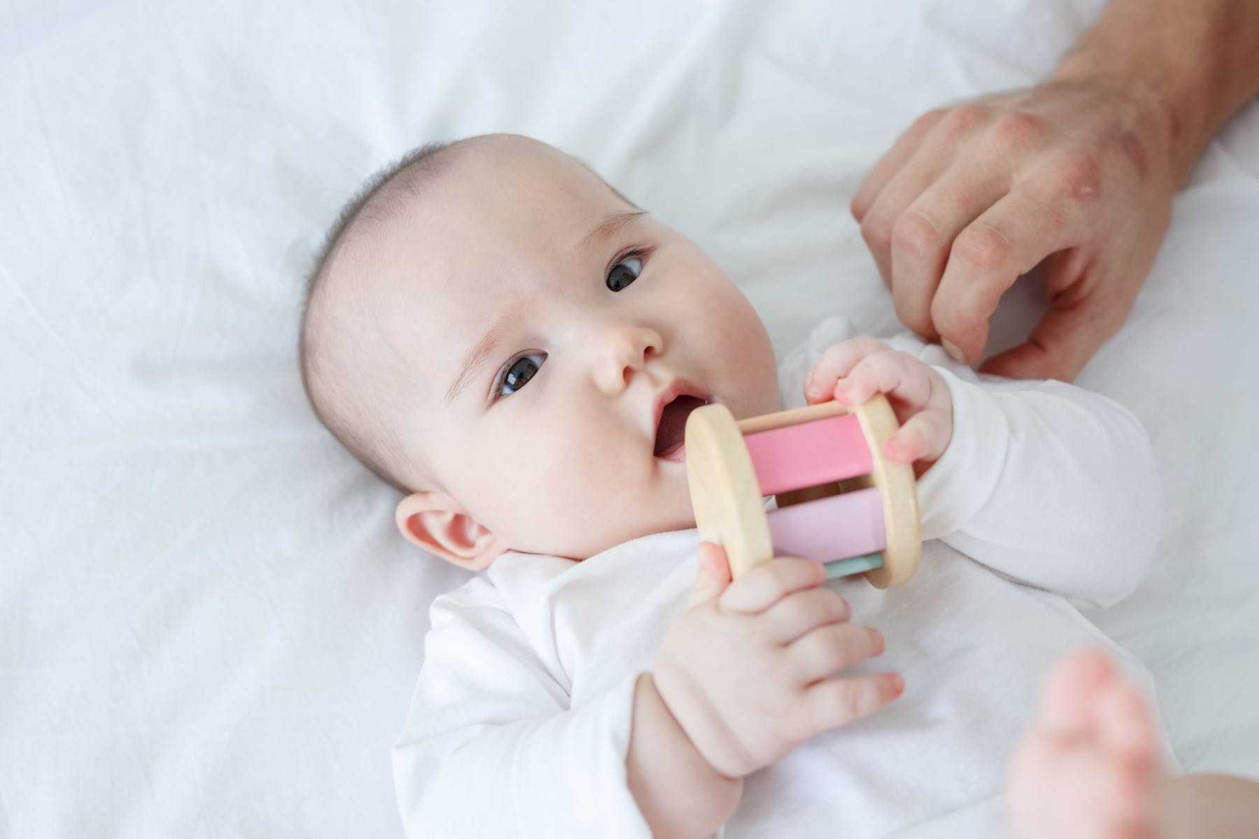 PlanToys - Roller - Pastel - PlanToys - littleyoyo.ca