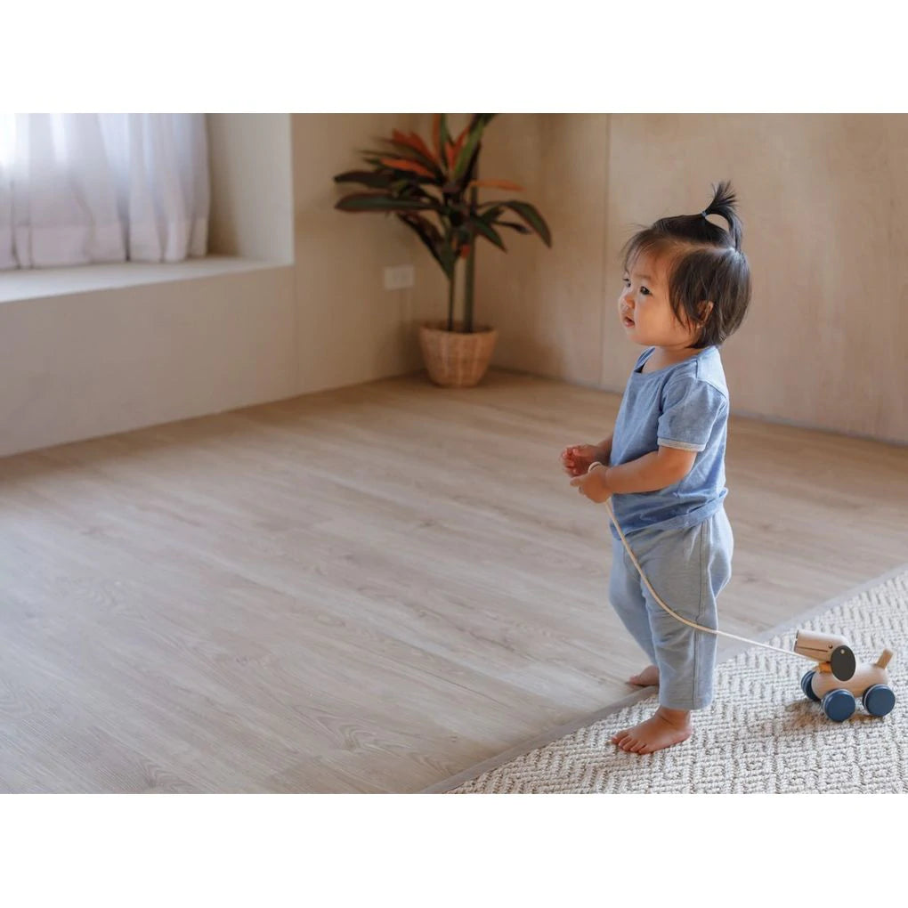 PlanToys - Push & Pull Puppy - PlanToys - littleyoyo.ca