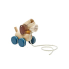 PlanToys - Push & Pull Puppy - PlanToys - littleyoyo.ca