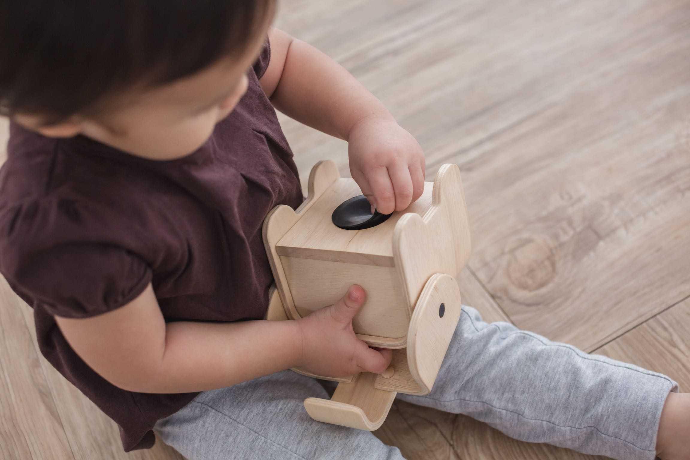 PlanToys - Elephant Bank - PlanToys - littleyoyo.ca