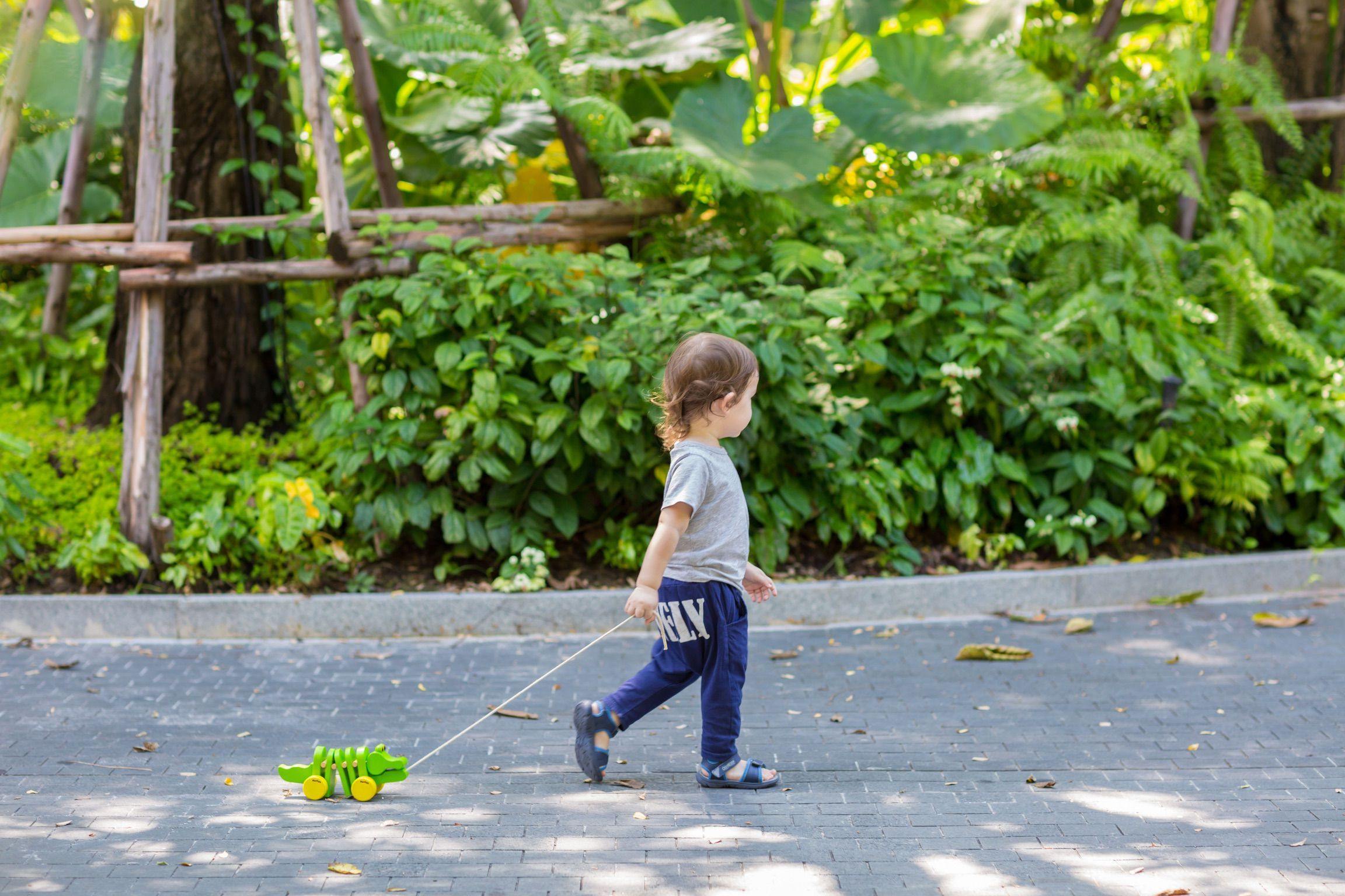 PlanToys - Dancing Alligator - PlanToys - littleyoyo.ca