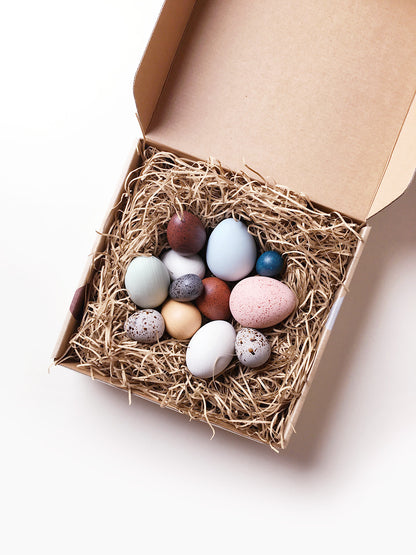 Moon Picnic - A Dozen Bird Eggs in a Box