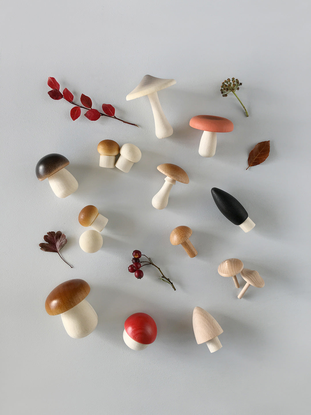 Moon Picnic - Forest Mushrooms in a Box - Moon Picnic - littleyoyo.ca