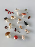 Moon Picnic - Forest Mushrooms in a Box - Moon Picnic - littleyoyo.ca