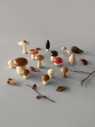 Moon Picnic - Forest Mushrooms in a Box - Moon Picnic - littleyoyo.ca