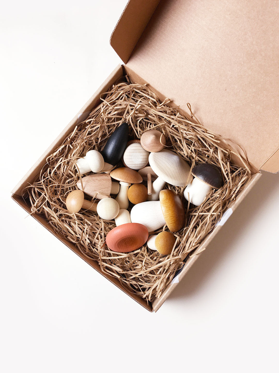 Moon Picnic - Forest Mushrooms in a Box - Moon Picnic - littleyoyo.ca
