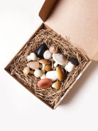 Moon Picnic - Forest Mushrooms in a Box - Moon Picnic - littleyoyo.ca
