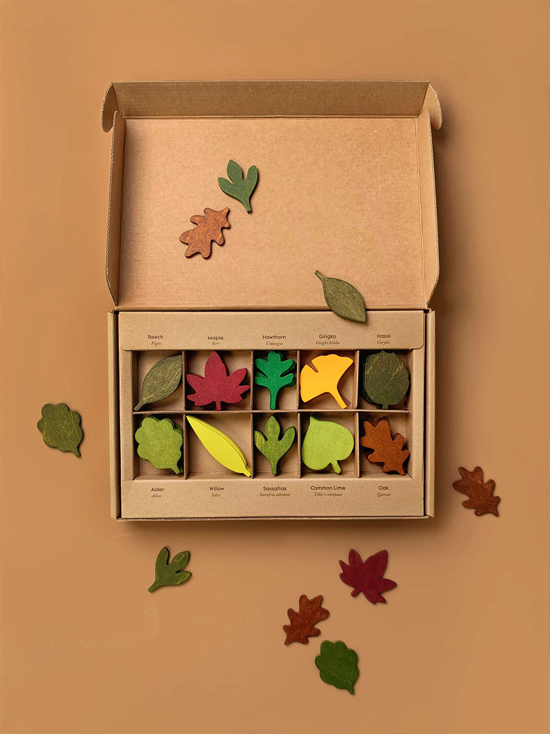 Moon Picnic - Woodland Leaves - Moon Picnic - littleyoyo.ca
