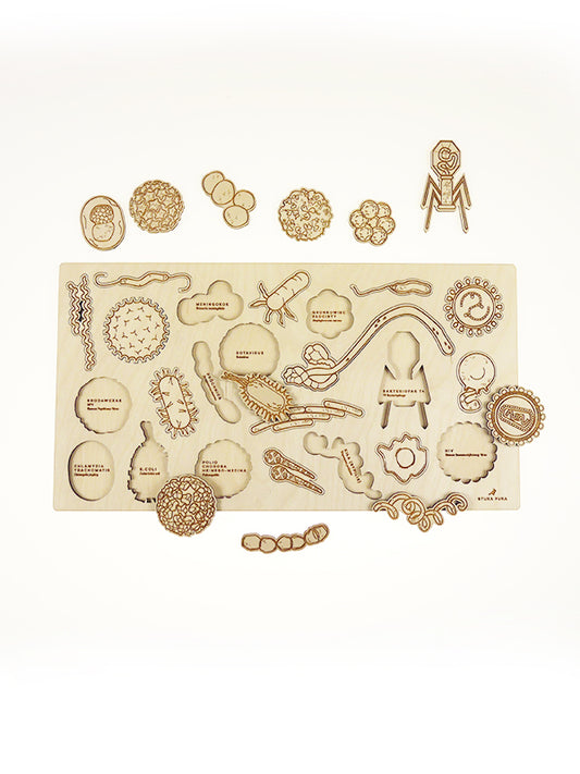 Stuka Puka - Catch A Cold - Bacteria And Virus Wooden Puzzle