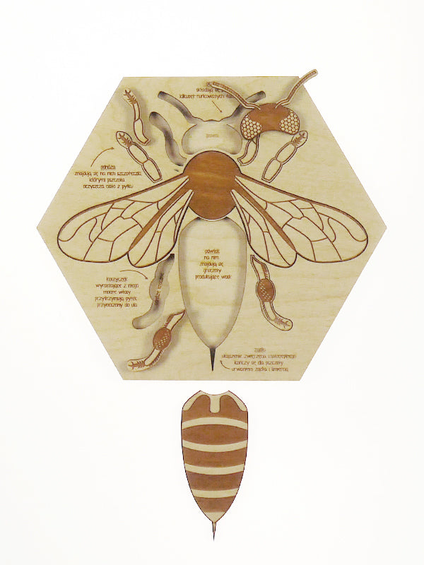 Stuka Puka - Busy Bee Wooden Puzzle - Stuka Puka - littleyoyo.ca