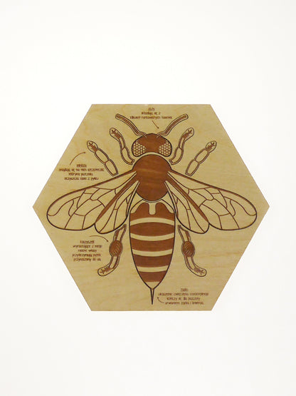 Stuka Puka - Busy Bee Wooden Puzzle