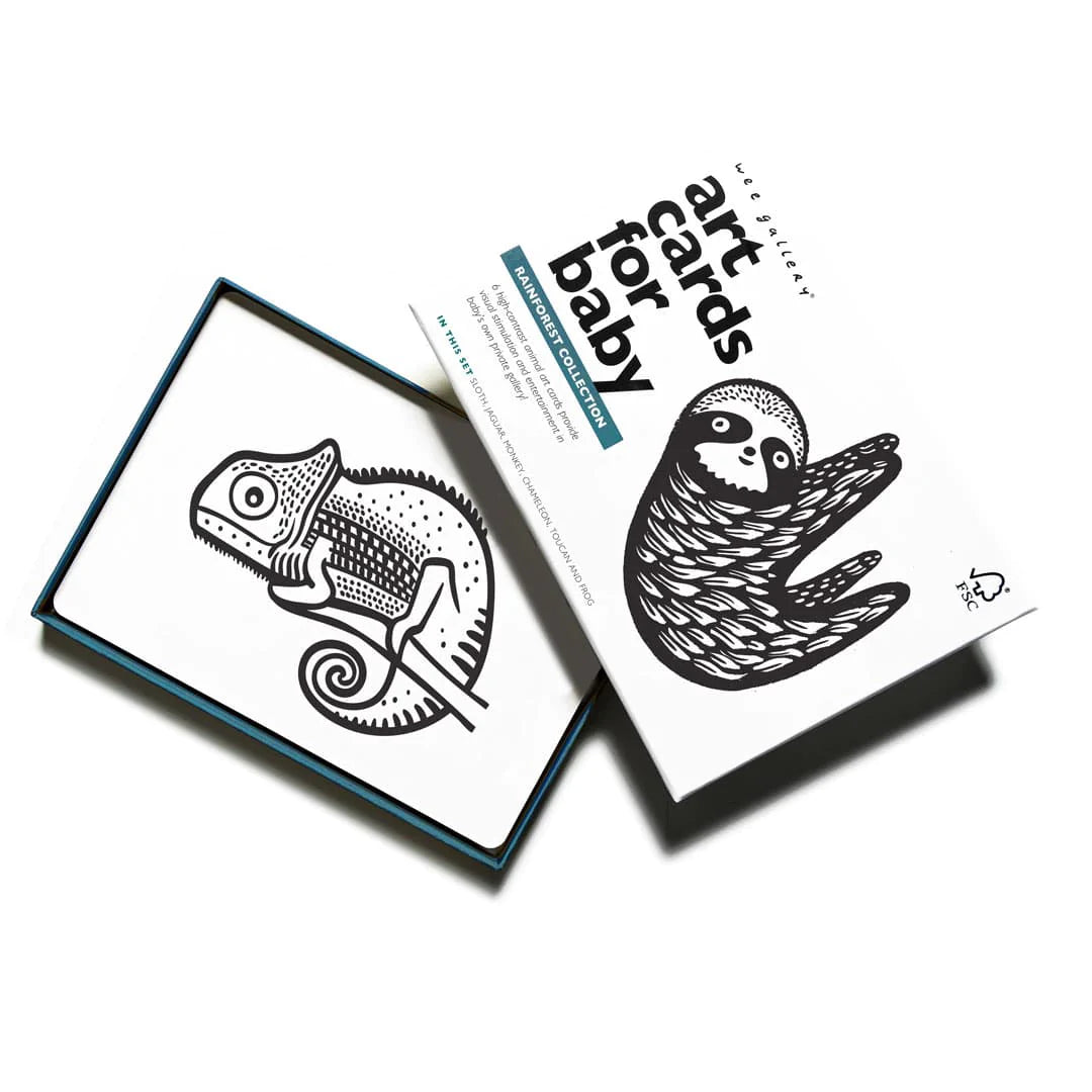 Wee Gallery - Art Cards For Baby - Rainforest Collection - Wee Gallery - littleyoyo.ca