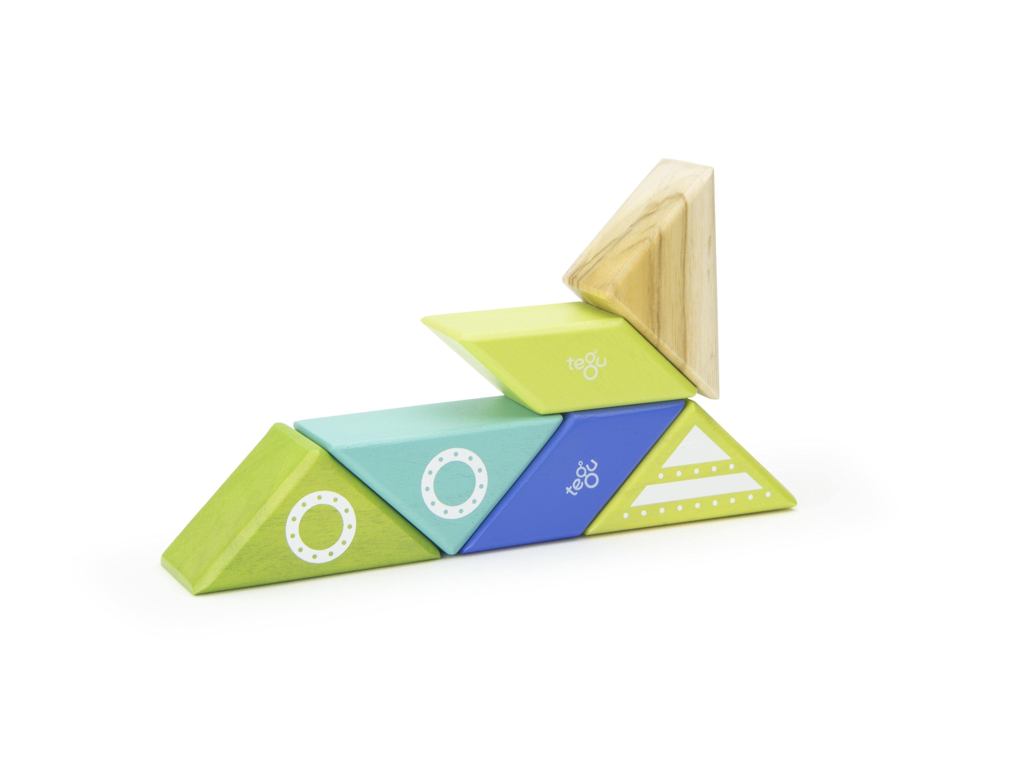 Tegu spaceship store