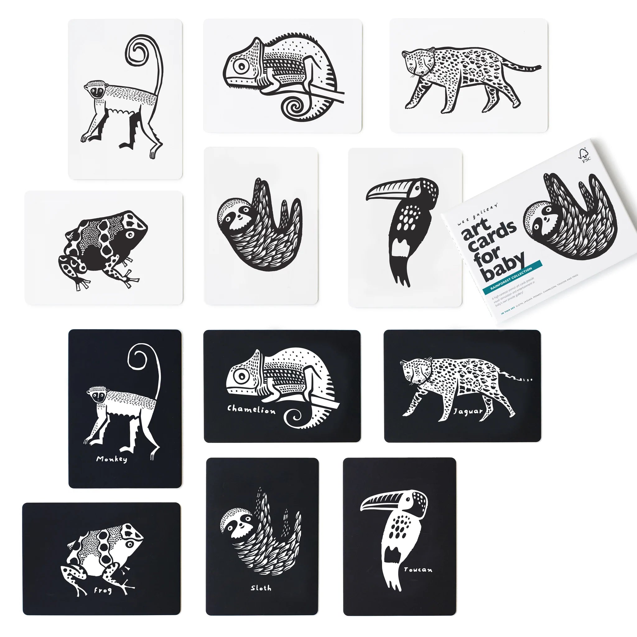Wee Gallery - Art Cards For Baby - Rainforest Collection - Wee Gallery - littleyoyo.ca