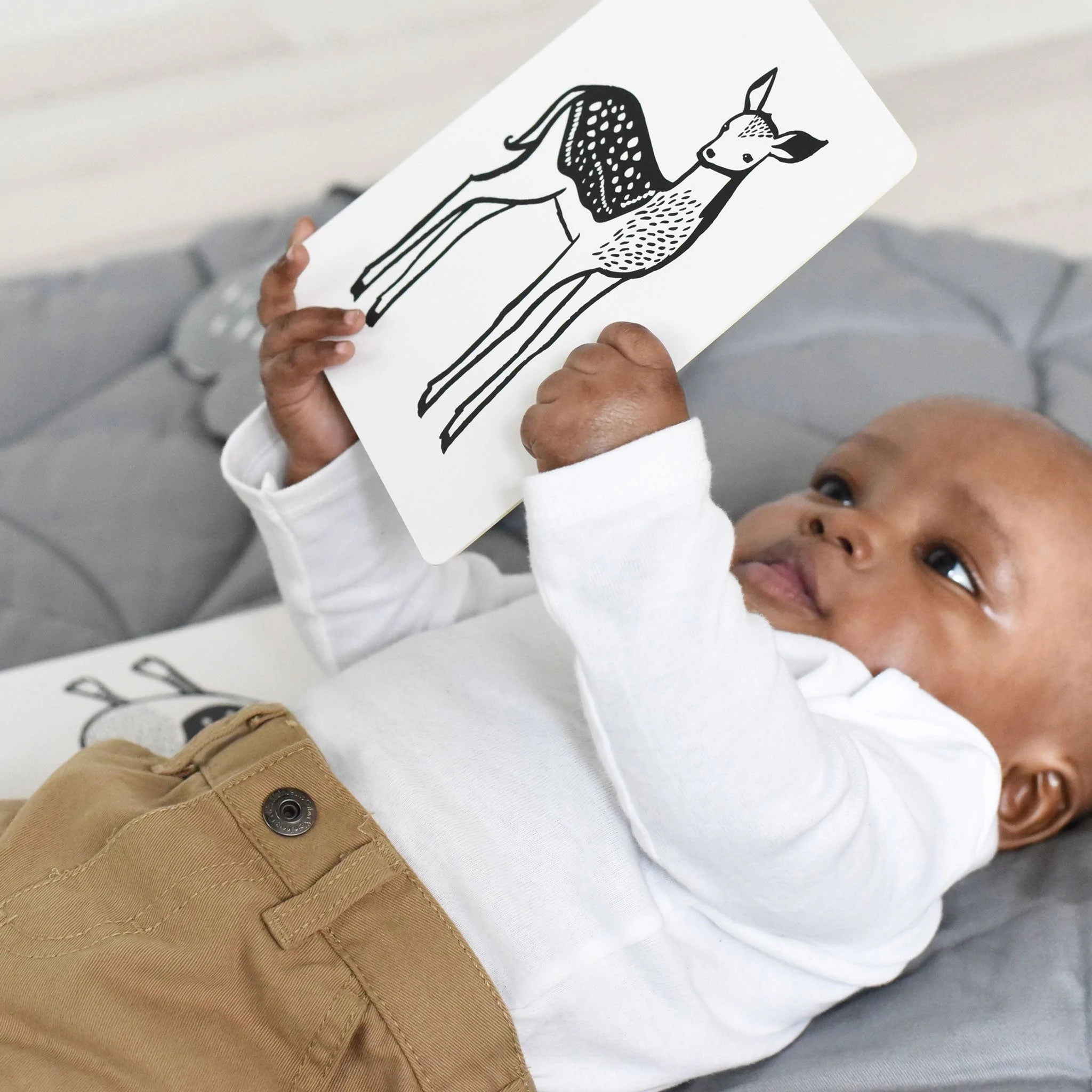 Wee Gallery - Art Cards For Baby - Rainforest Collection - Wee Gallery - littleyoyo.ca