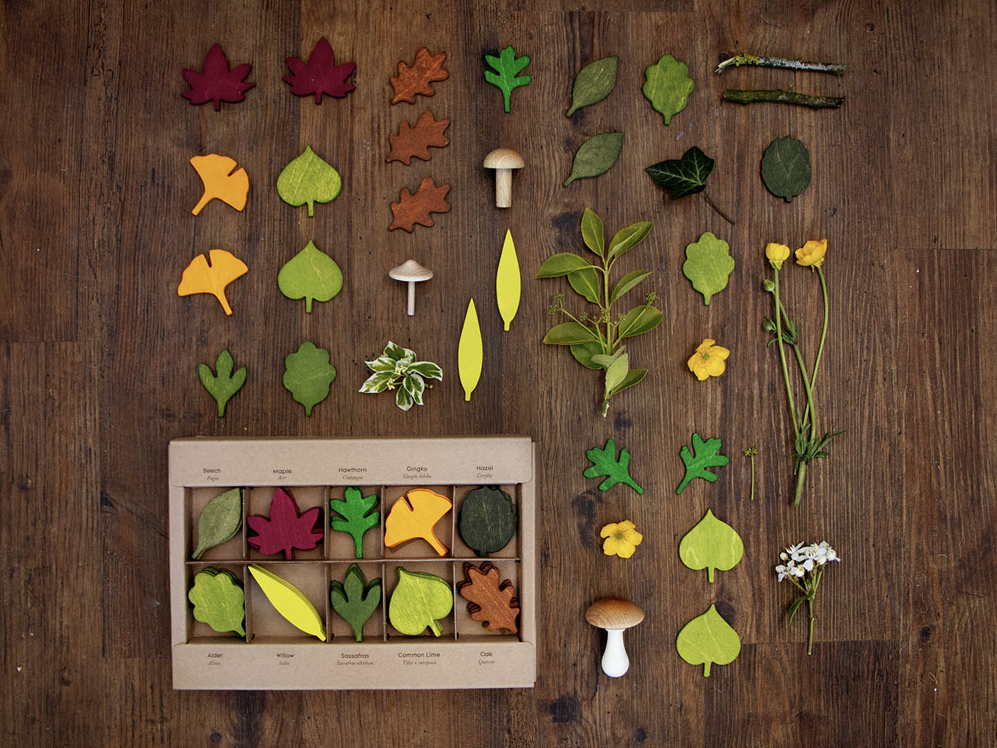 Moon Picnic - Woodland Leaves - Moon Picnic - littleyoyo.ca